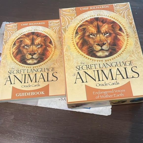 Secret Language Animals Oracle Cards - Picture 1 of 3